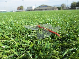 IMG_0646.jpg